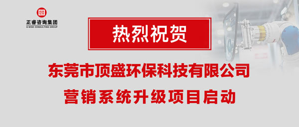 東莞市頂盛環(huán)?？萍加邢薰緺I銷系統(tǒng)升級項目啟動