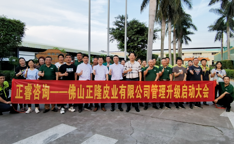 助力皮革行業(yè)再樹標桿——正隆皮業(yè)全面管理升級項目啟動！