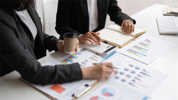 企業(yè)預算管理的新境界：從理論到實踐的全面解讀