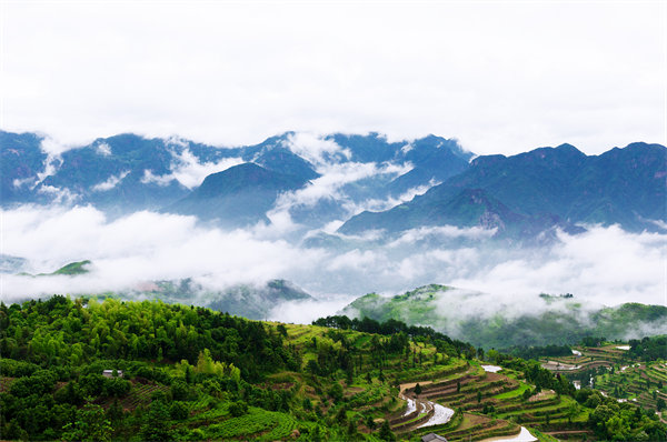 管理咨詢?nèi)绾沃刂萜髽I(yè)戰(zhàn)略規(guī)劃落地？