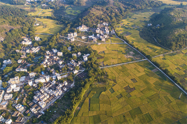 肇慶預(yù)算管理咨詢公司如何為企業(yè)構(gòu)建精細(xì)化的預(yù)算體系？
