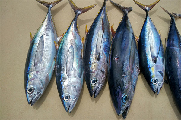 商務(wù)部：將幫助外貿(mào)企業(yè)擴(kuò)寬內(nèi)銷渠道，政策解讀！